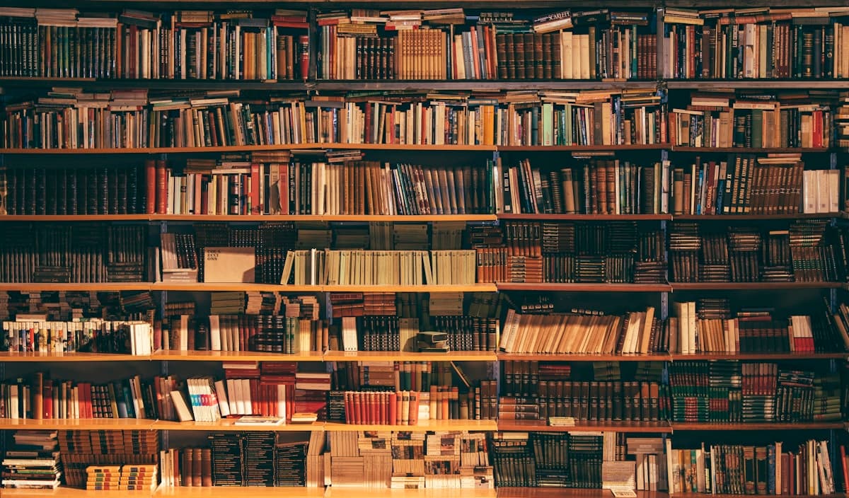 Tall wall of research books on wooden shelves, suggesting depth of reading and sources